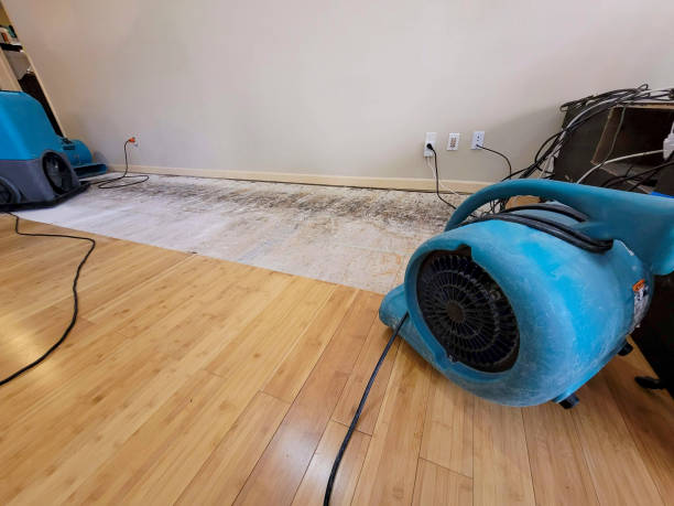 Professional Structural Drying technician working in Leominster, MA